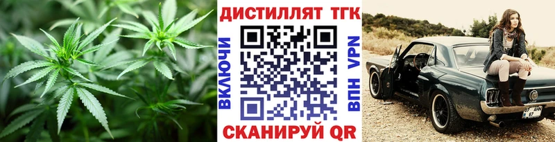Дистиллят ТГК Wax  Купить где  Судогда 