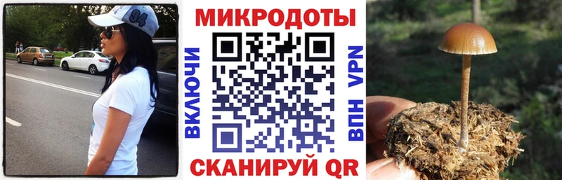 Купить где  Судогда  Псилоцибиновые грибы ЛСД 